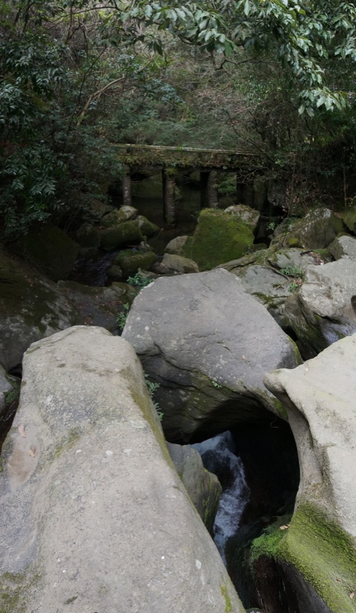 SONY α NEX-6 #2_b0060239_2391923.jpg