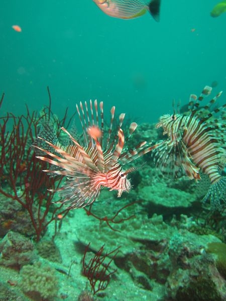 a0289543_0231798.jpg
