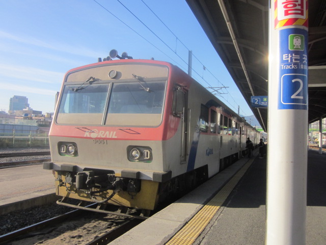 d0167244_21944.jpg