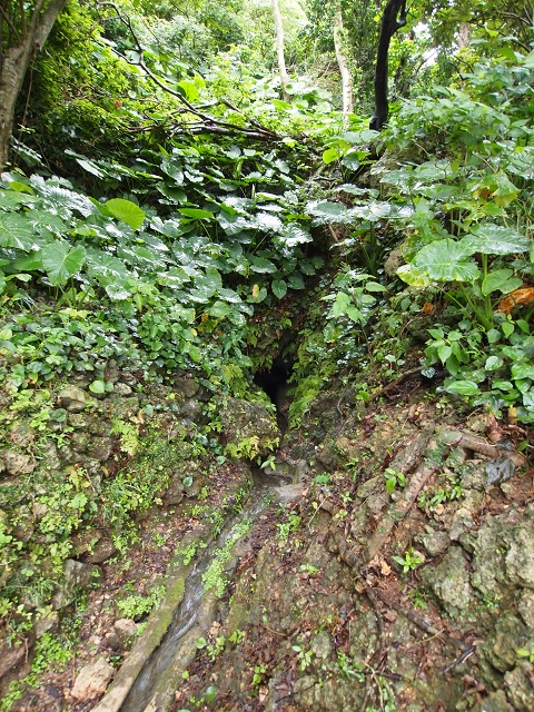 遺跡・パワースポット巡りその１　垣花樋川_b0174345_11348.jpg