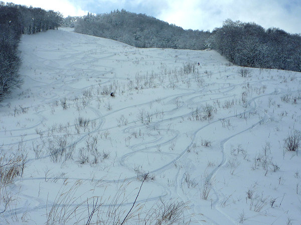 c0081645_2323494.jpg