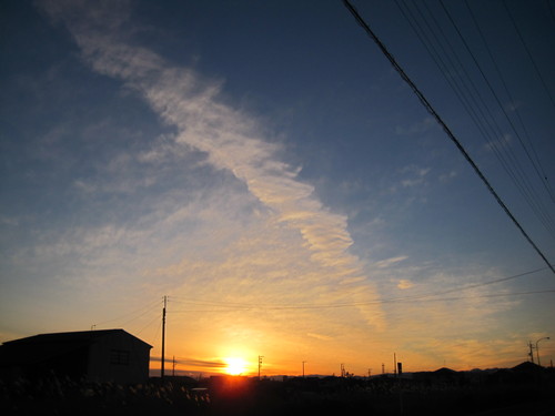d0101846_8195258.jpg