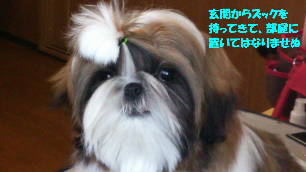 a0091448_21261796.jpg