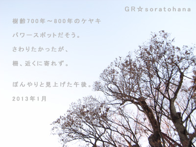 c0092152_0324945.jpg