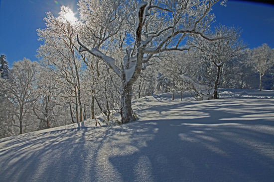 b0277159_14365099.jpg