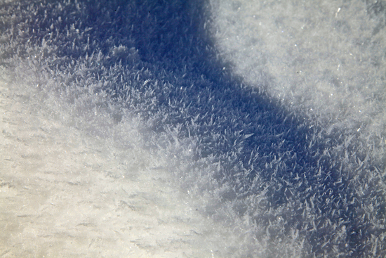 b0277159_1761847.jpg