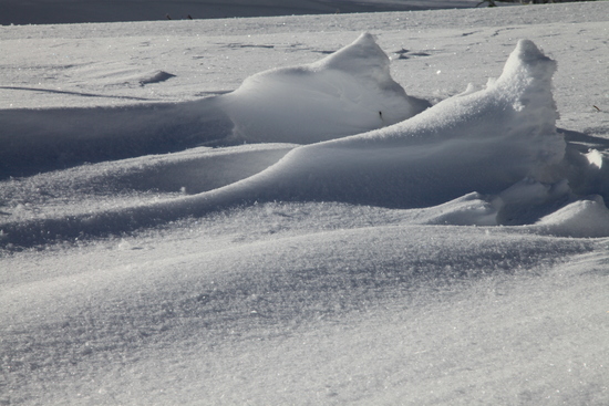 b0277159_2203527.jpg