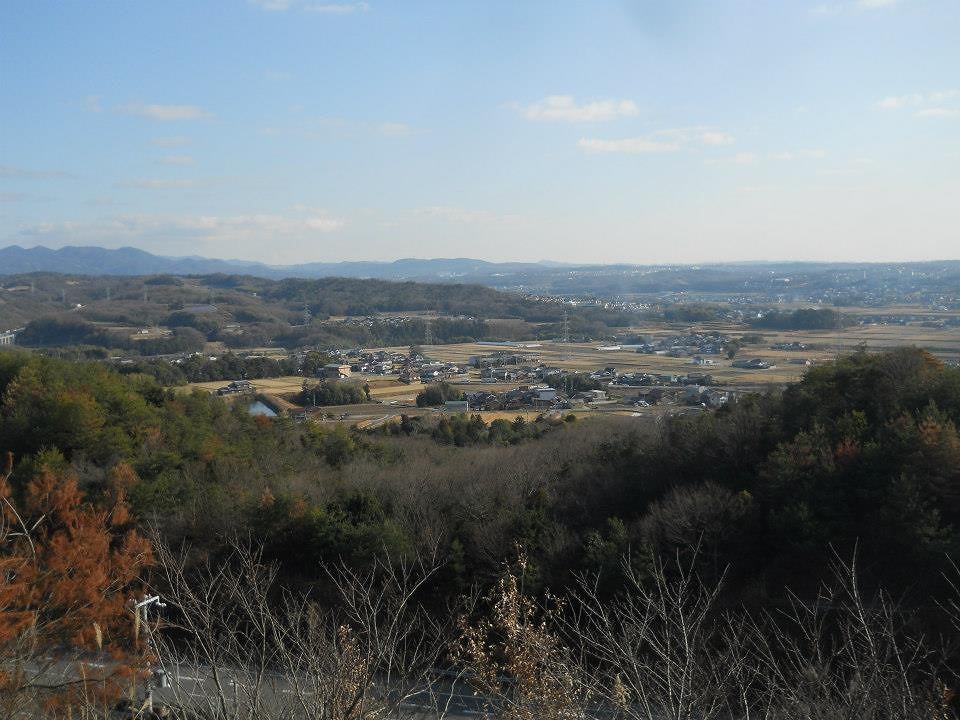 a0129562_823737.jpg