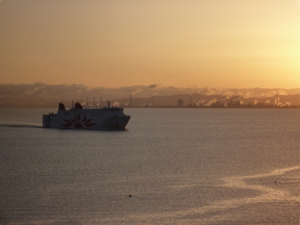 b0178262_914276.jpg