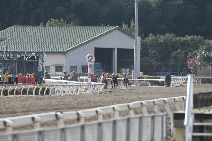 2013年1月1日（火） 高知競馬 1R 初夢特別 C3-8選抜馬_a0077663_8572340.jpg