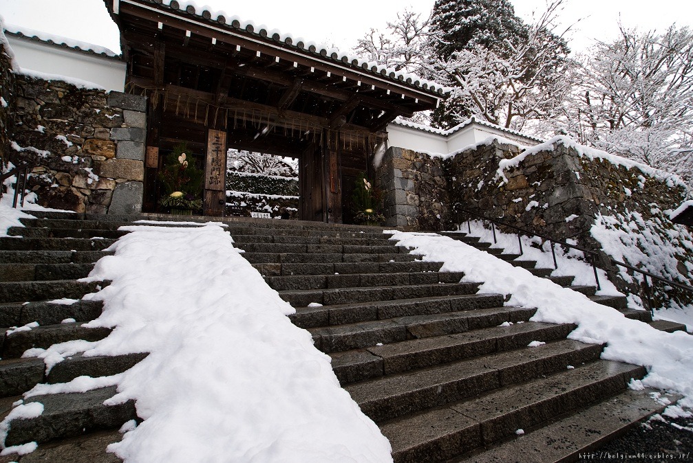 大原～雪の三千院_f0102363_20404664.jpg