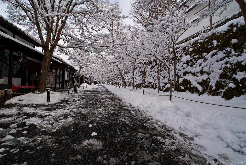 大原～雪の三千院_f0102363_2040511.jpg