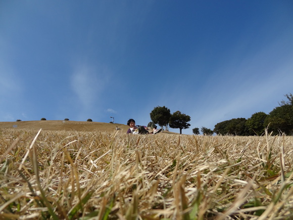 c0245666_2132191.jpg
