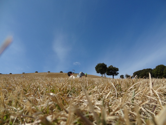 c0245666_21333423.jpg