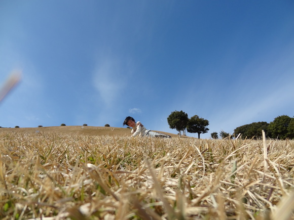 c0245666_2134734.jpg