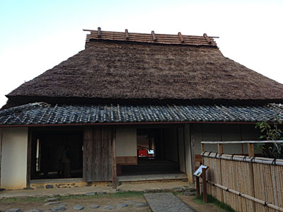 b0048571_21159.jpg