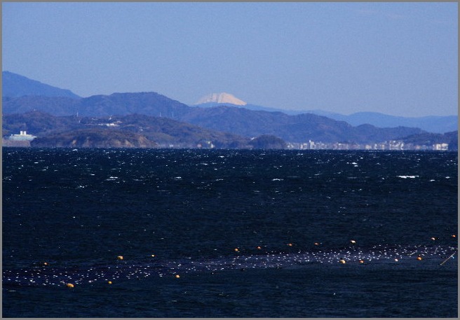 f0181173_21345380.jpg