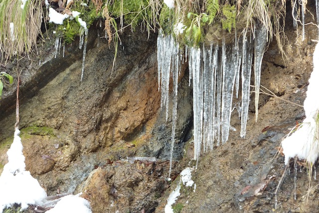 新春、北山雪遊び_c0107075_21424951.jpg