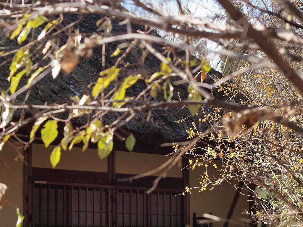 d0054276_20285714.jpg