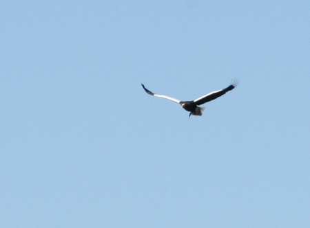 c0152883_12024.jpg