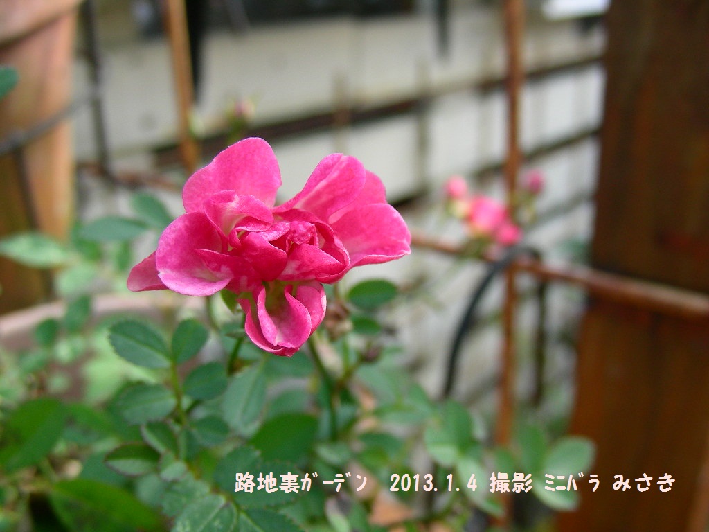 b0096584_9134317.jpg