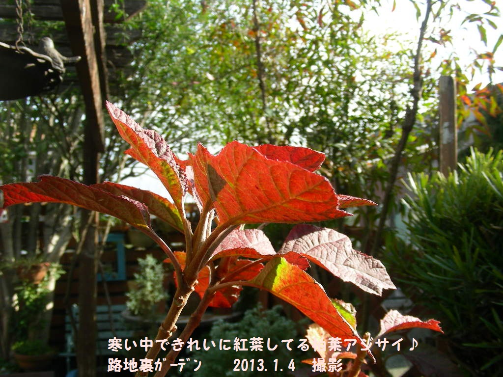 b0096584_9141111.jpg