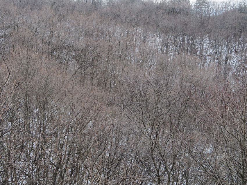 d0244687_19134969.jpg