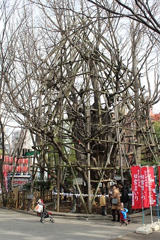 b0107691_2324475.jpg