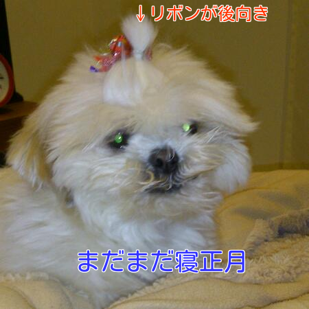 b0237894_5451166.png