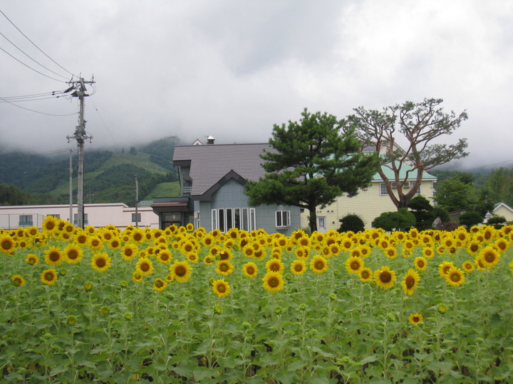 ２０１０年　夏　北海道キャンプ旅行　vol.1　_a0162895_210060.jpg