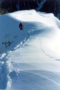 e0304295_254260.jpg