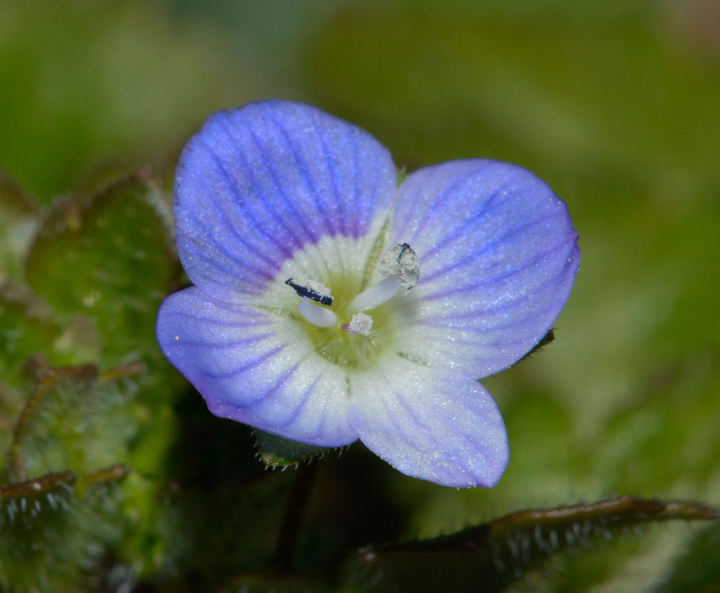 d0163696_23102246.jpg