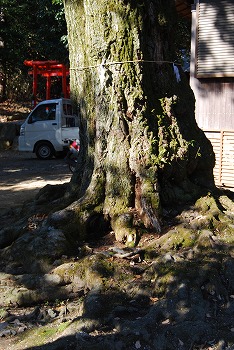 今年の初詣も・・・_c0124100_13315651.jpg