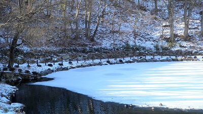 e0304702_16172231.jpg