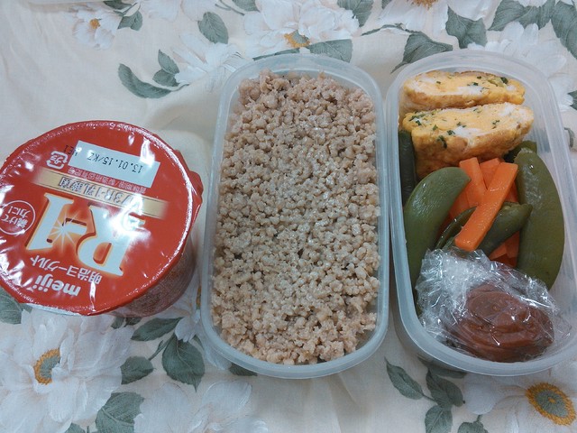 2013年☆初ダイエット弁当_c0212604_205957.jpg