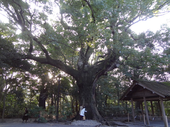 大晦日のお伊勢参り_a0243305_2155224.jpg