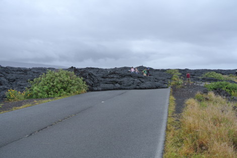a0153206_1116872.jpg