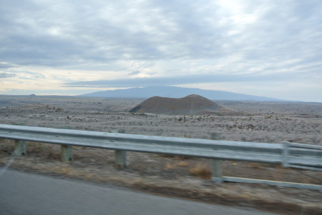 a0153206_11423668.jpg