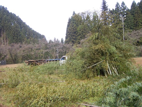 b0126408_23295020.jpg