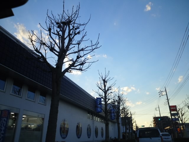 f0155808_23173213.jpg