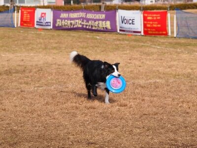 c0181414_23512893.jpg