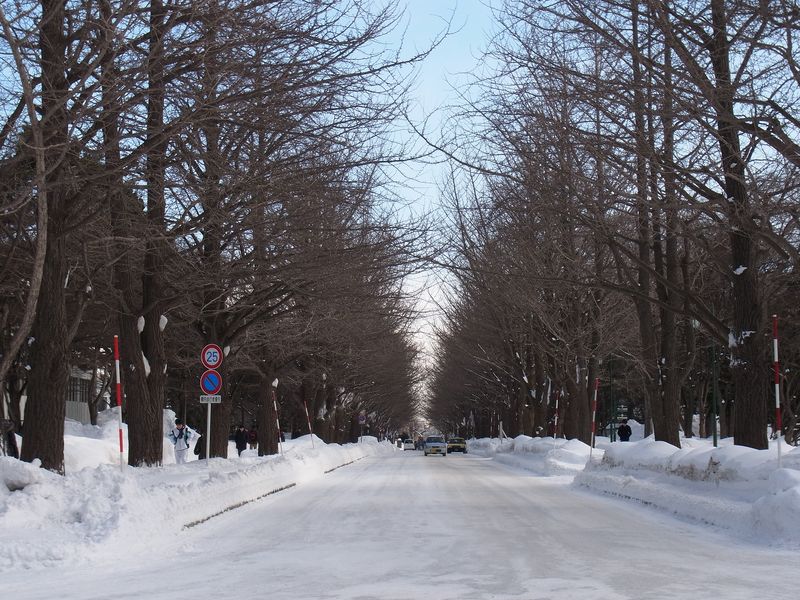 寒波、大雪、雪まつり、節電_c0025115_18341541.jpg