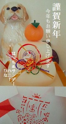 新年明けましておめでとうございます_c0131616_1223851.jpg