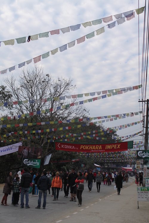 f0233916_16392267.jpg