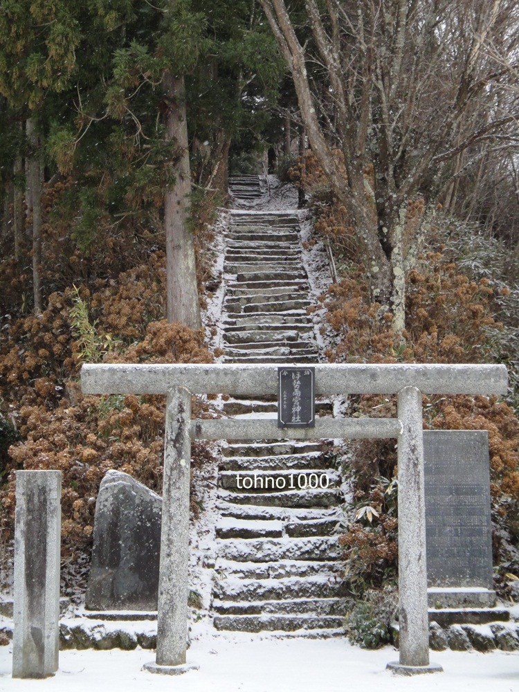 冬のアジサイ神社_d0109319_74513.jpg