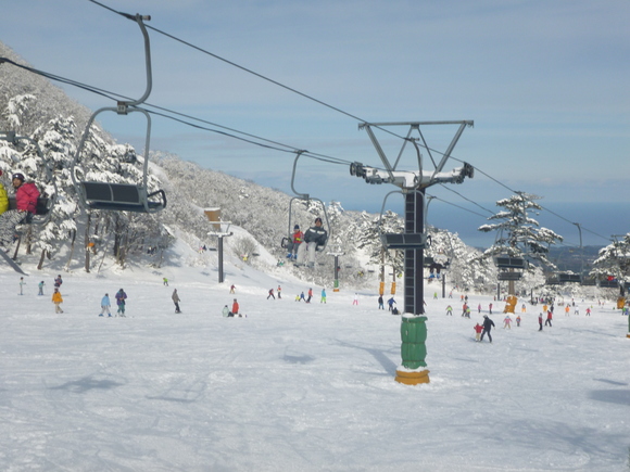 2013年 明けました!_b0215321_92106.jpg
