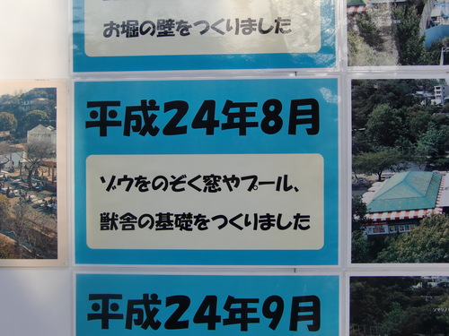 東山動物園　2013年1月　ゾウ舎新築工事中_d0281322_23212452.jpg