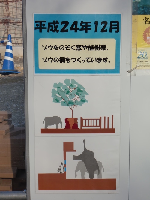 東山動物園　2013年1月　ゾウ舎新築工事中_d0281322_23265041.jpg