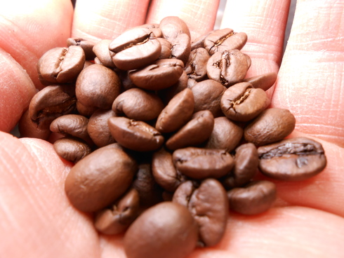 ** ブラジル の 風を感じる コーヒー **_b0136223_20144295.jpg