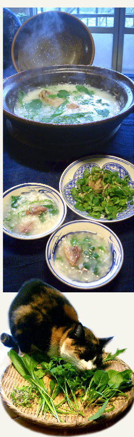 d0043225_20223079.jpg
